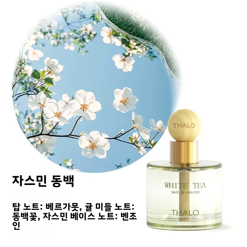 차량용 방향제 아로마테라피 디퓨저 안전하고 건강한 차량 - Fragrance Perfume Car 리뷰 및 가격