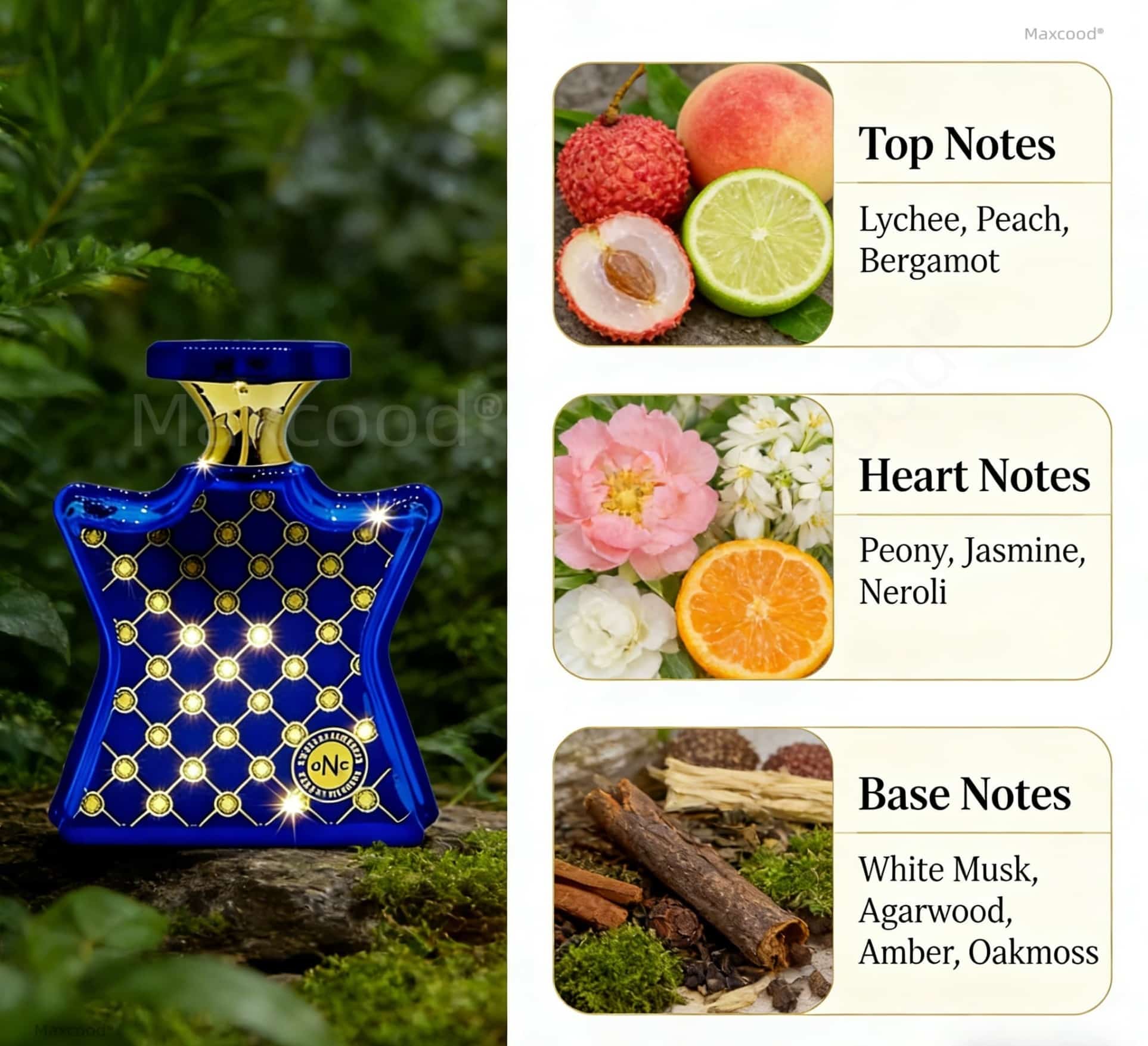 감귤과 꽃향기 향수, 오래 지속되는 향, 일상 사용에  - Perfume Fragrance For Women 리뷰 및 가격